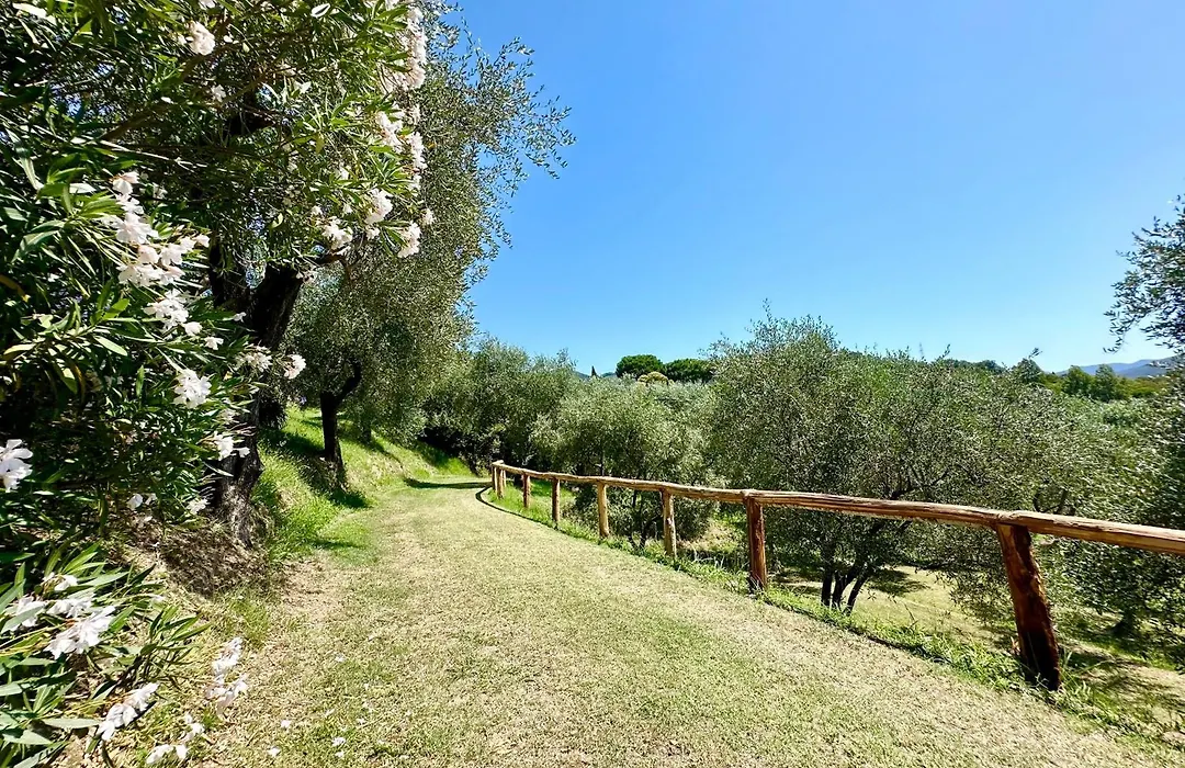 Agriturismo Uliveto Bartolomeo-1